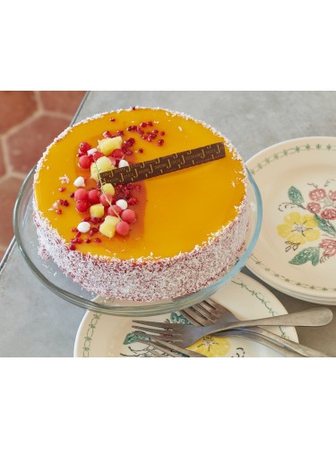 Vacherin Mangue Framboise